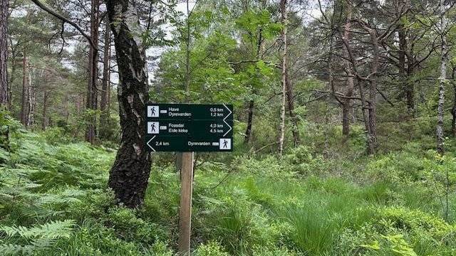 Turskilt i skogen