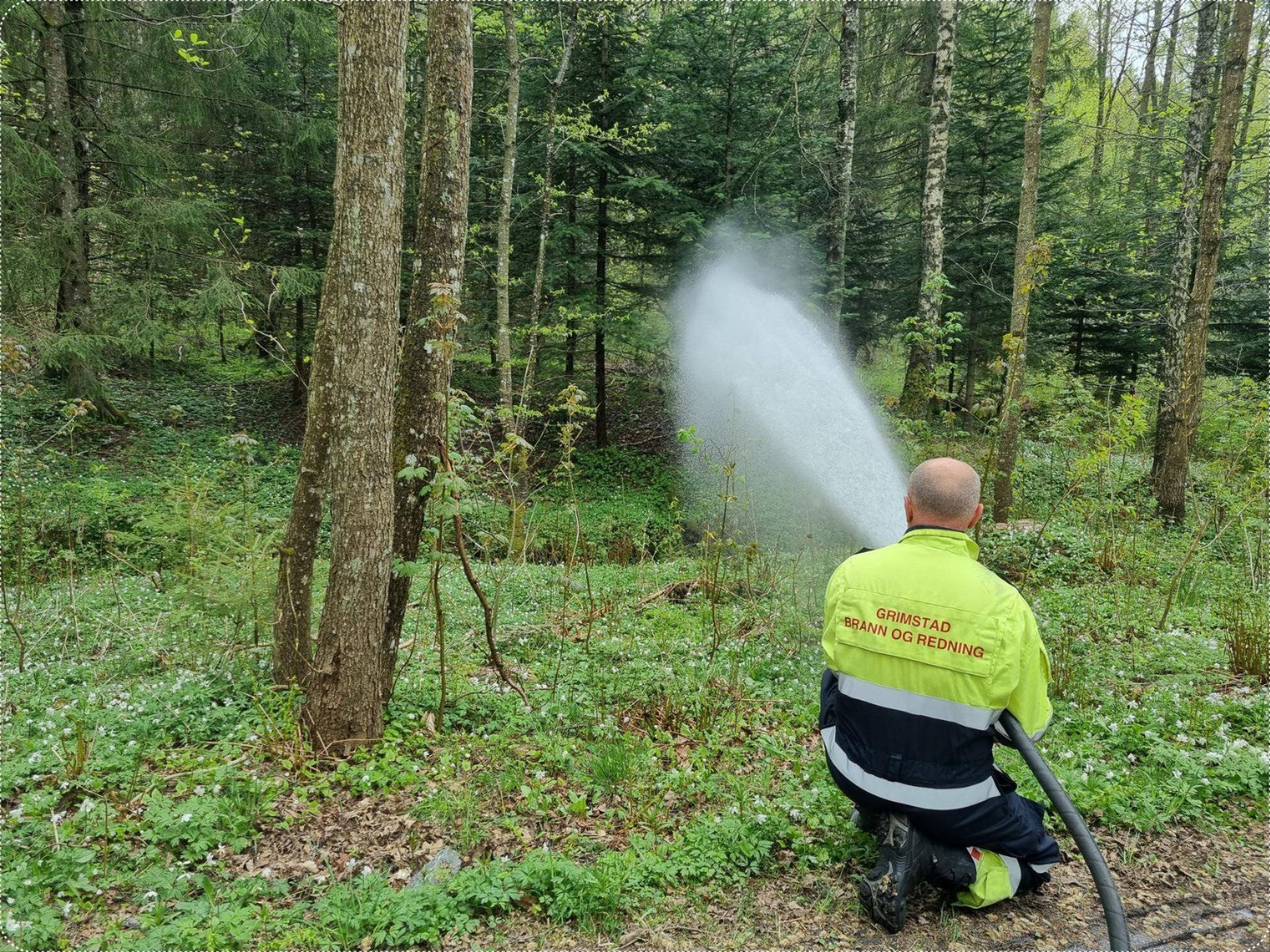 Brannmann som spyler ut i skogen med en brannslange