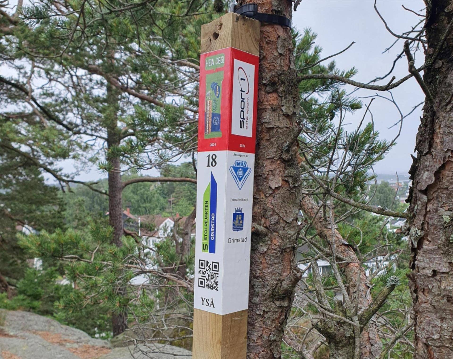 Bilde av stolpe hengende på et tre i skogen